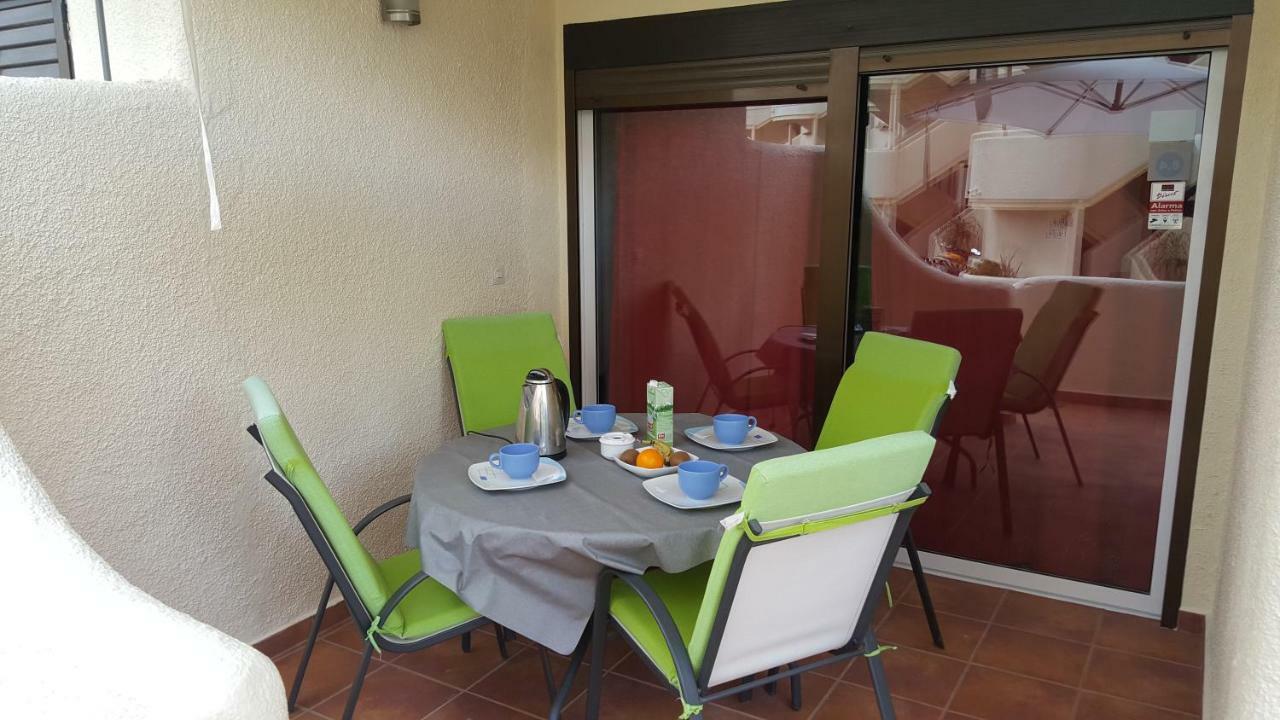 Cactus * Denia